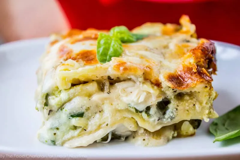 Chicken Alfredo Lasagna